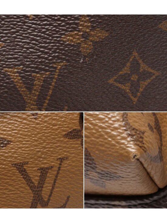 Louis Vuitton Backpack Palm Springs PM Monogram main image 4